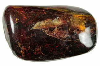 Polished Chiapas Amber ( g) - Mexico #253867