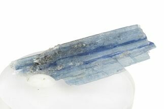 Vibrant Blue Kyanite Crystals In Quartz - Brazil #255006