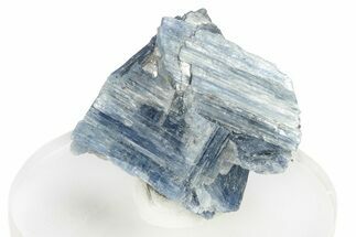 Vibrant Blue Kyanite Crystals In Quartz - Brazil #255010