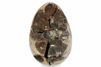 Septarian Dragon Egg Geode - Black Crystals #253740