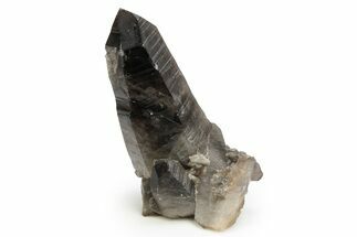 Dark Smoky Quartz Crystal - Brazil #255394