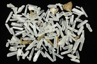 Clearance Lot: Spruce Ridge Quartz Crystals - + Crystals #255933