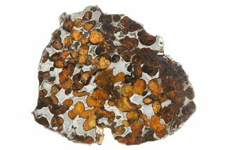 Polished Sericho Pallasite Meteorite ( g) Slice - Kenya #256142