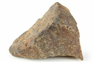 Chondrite Meteorite ( g) - Western Sahara Desert #256591