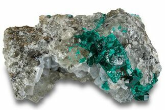 Gemmy Dioptase Crystals on Quartz - Sanda Mine, Congo #256952