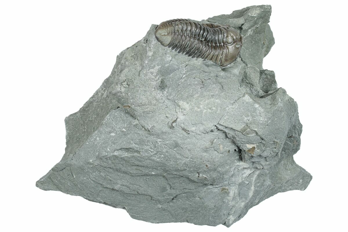 1.15