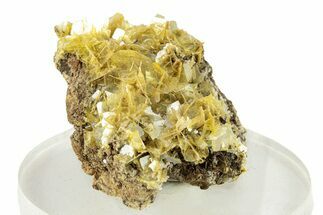 Yellow Wulfenite Crystals - Lucin, Utah #258081