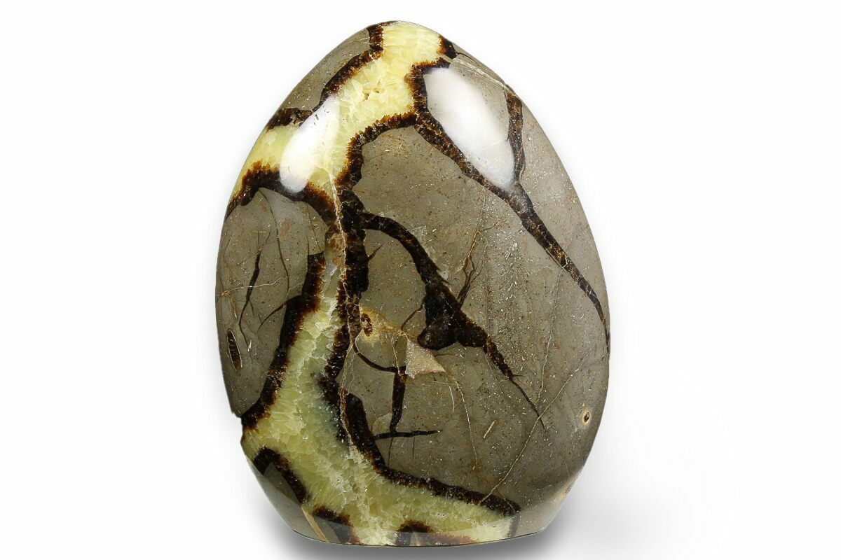 Septarian Form 5.35