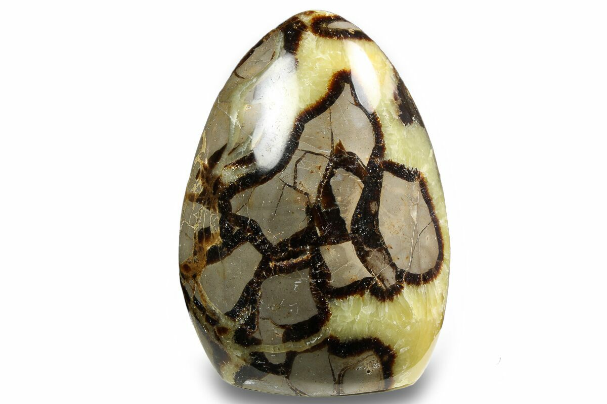 Septarian Form 4.5