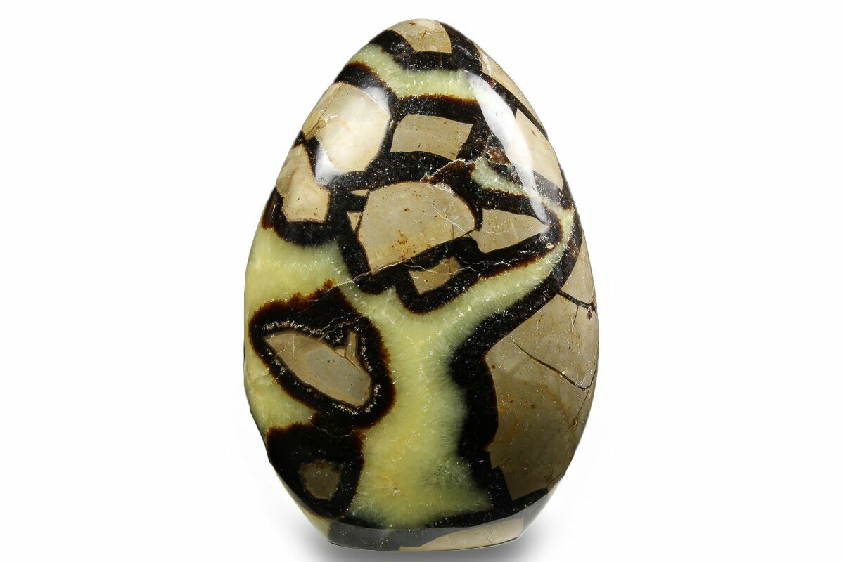 Septarian Form 6.4