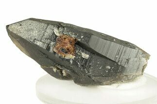 Smoky Quartz Crystal with Hematite - Colorado #259944
