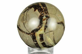 Polished Septarian Sphere - Madagascar #260035