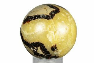 Polished Septarian Sphere - Madagascar #260041