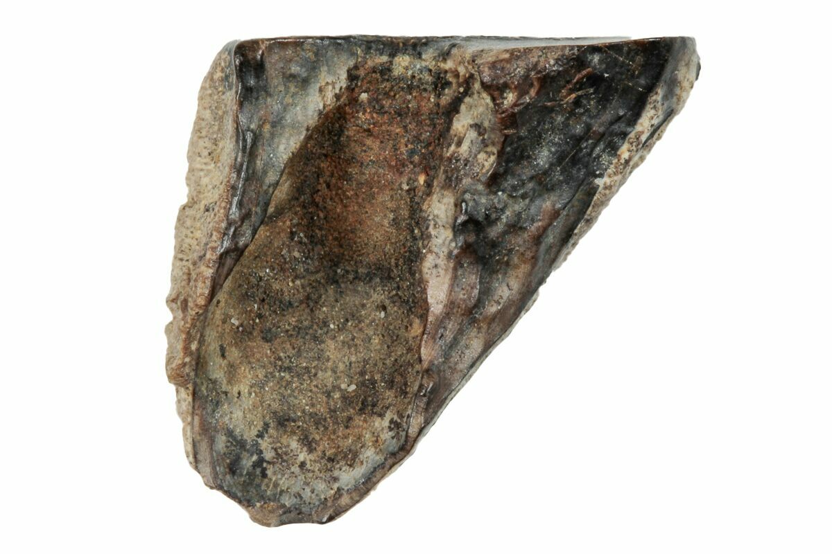 .55