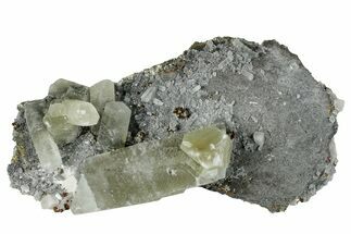Calcite Crystals with Dolomite on Pyrite - Missouri #260490