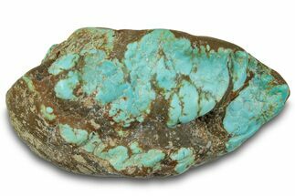 Polished Turquoise Specimen - Number Mine, Carlin, NV #260512