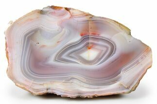 Colorful, Polished Patagonia Agate - Highly Fluorescent! #260759