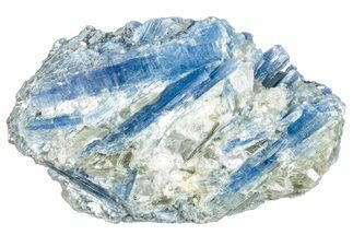 Vibrant Blue Kyanite Crystals In Quartz - Brazil #260743