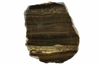 Polished Packsaddle Tiger Eye Slab - Western Australia #260860