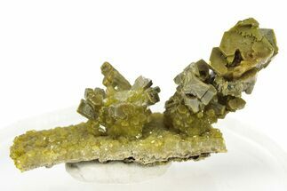 Lustrous Forest-Green Pyromorphite Crystal Cluster - China #260960
