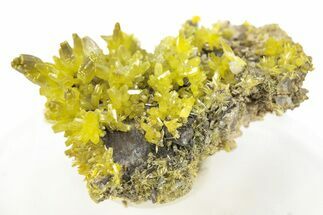 Lustrous Apple-Green Pyromorphite Crystal Cluster - China #260967