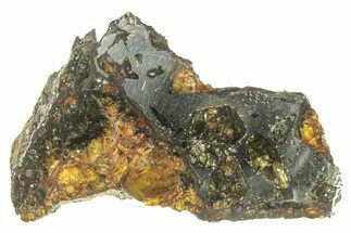 Polished Admire Pallasite Meteorite ( g) Section - Kansas #261222