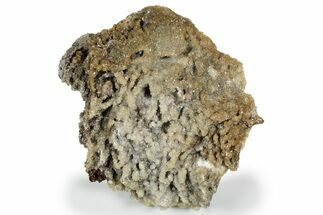 Calcite & Aragonite Stalactite Formation - Morocco #261686