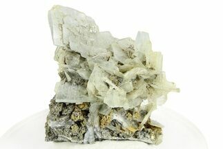 Blue Bladed Barite on Pyrite - Morocco #261664