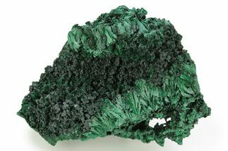 Fibrous Velvet Malachite Cluster - DR Congo #261913