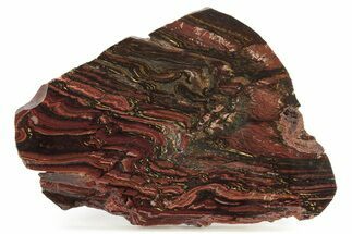 Polished Tiger Iron Stromatolite Slab - Billion Years #261996