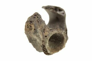 Permian Reptile Fossil Vertebra - Oklahoma #261460