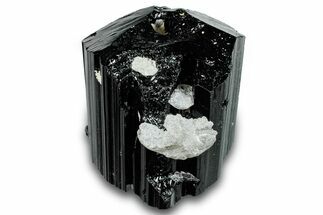 Terminated Black Tourmaline (Schorl) Crystal - Madagascar #261762