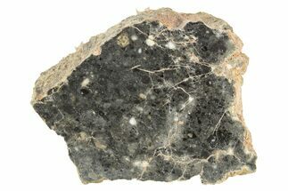 Polished Lunar Meteorite Section ( g) - NWA #263236