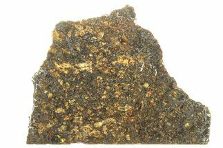 Polished Admire Pallasite Meteorite ( g) Slice - Kansas #263321