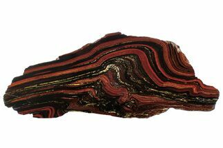 Polished Tiger Iron Stromatolite Slab - Billion Years #262017