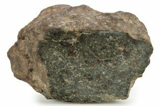 Howardite Meteorite ( g) - NWA Main Mass #263666