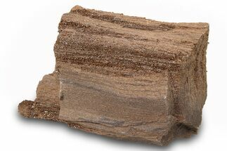 Permineralized Wood Covered In Sparkling Quartz -, Germany #263948