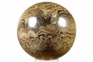 Huge Polished Stromatolite (Greysonia) Sphere - Bolivia #264393