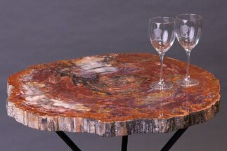 Stunning Arizona Petrified Rainbow Wood Table #264871