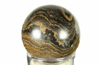 Polished Stromatolite (Greysonia) Sphere - Bolivia #264443