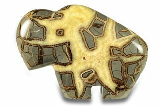 Calcite-Filled Polished Septarian Bison - Utah #264596