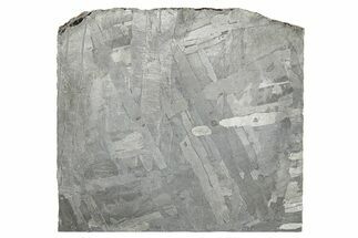 Etched Seymchan Meteorite Slice ( g) - Russia #265008