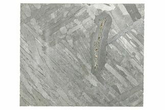 Etched Seymchan Meteorite Slice ( g) - Russia #265009
