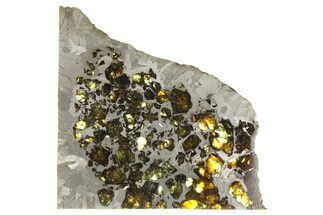 Seymchan Pallasite Meteorite Slice ( g) - Russia #264926