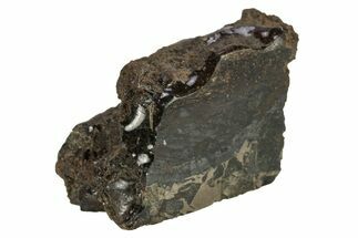 Cut Chondrite Meteorite ( g) - Unclassified NWA #265656