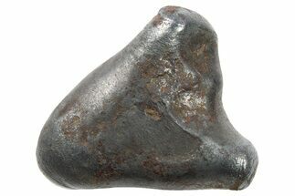 Sikhote-Alin Iron Meteorite ( g) - Oriented! #265796