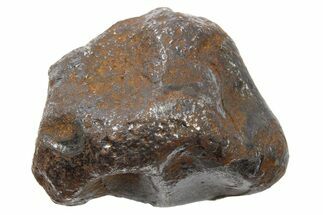 Sikhote-Alin Iron Meteorite ( g) With Regmaglypts - Russia #265819