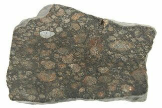 Chondrite Meteorite ( g) Slice - NWA #265955