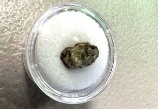 Diogenite Meteorite ( g) Fragment - From Vesta Micro-Planet! #266199