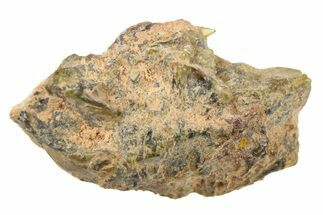 Diogenite Meteorite ( g) - From Vesta Micro-Planet! #266191
